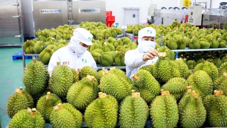 Durian exports likely to reach US$1 billion this year